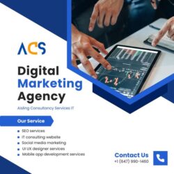 Grow Your Business with ACS Digital Marketing Agency