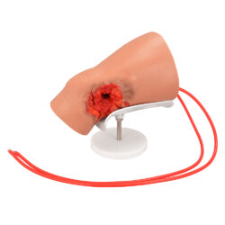 Knee Hemorrhage Control Trainer with Through-and-Through GSW