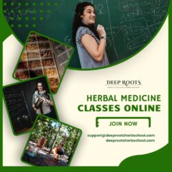Deep Roots Herb School Online Herbal Medicine Monthly Subscription