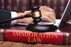 Powering the North: Why Manchester Needs Elite Immigration Solicitors