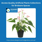Access Quality Artificial Plants Collections for Brisbane Spaces