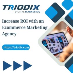 Increase ROI with an Ecommerce Marketing Agency