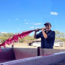 Kangaroo Island Day Tours