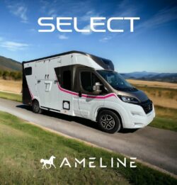 Quality & Value: Premium Horse Boxes For Sale