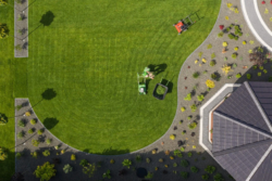 Lawn mowing turramurra