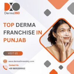 Top Derma Franchise Company in Punjab | Derma360 Private Limited