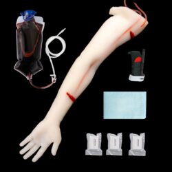 Translucent Hemorrhage Control Arm Trainer with Dual Cut Wounds