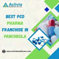 Reliable PCD Pharma Franchise Opportunity in Panchkula