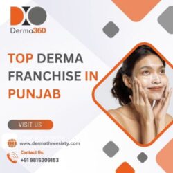 Top Derma Franchise in Punjab By Derma360 Private Limited