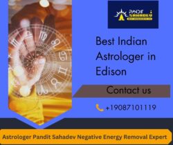 Best Indian Astrologer in Edison – Astrologer Pandit Sahadev Trusted Vedic Astrology Expert